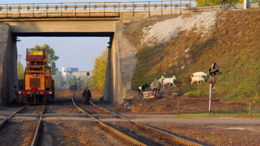 Voz naleteo na konje, a zatim i na stado ovaca!