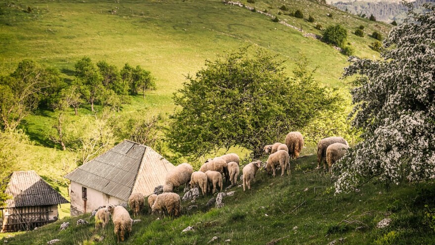 Ova naša planina je novo zaštićeno područje i specijalni rezervat prirode!
