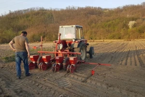 Prolećna setva: Nabavka repromaterijala otežana bez državnih dotacija?