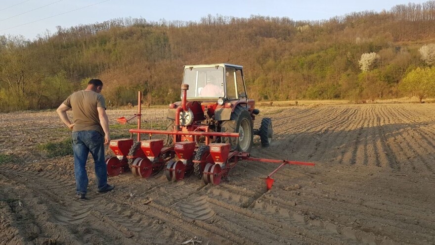 Prolećna setva: Nabavka repromaterijala otežana bez državnih dotacija?