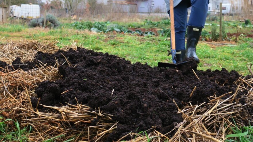 Split slavi vrtlarstvo: Sjeme se razmjenjuje, prodaje nema