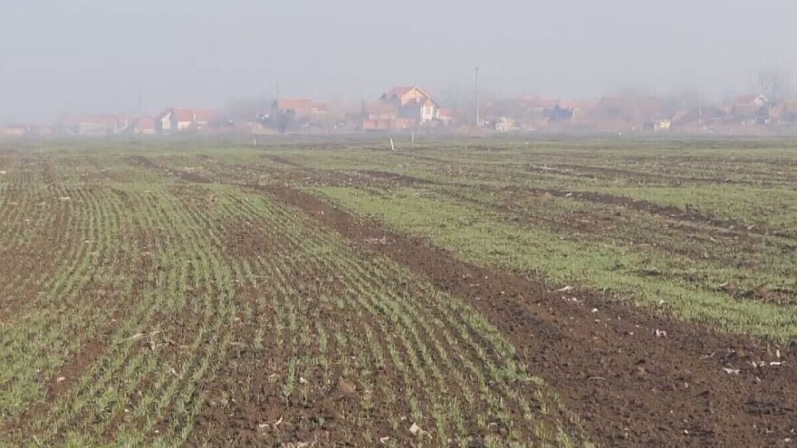 Ozime strne kulture u Kolubarskom okrugu dobro podnose zimu
