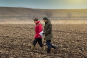 Valute i vremenska prognoza diktiraju izvoz