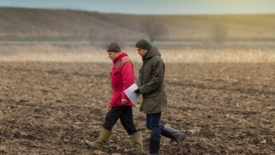 Valute i vremenska prognoza diktiraju izvoz