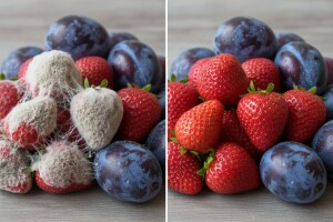 Ozon smanjuje kvarenje voća