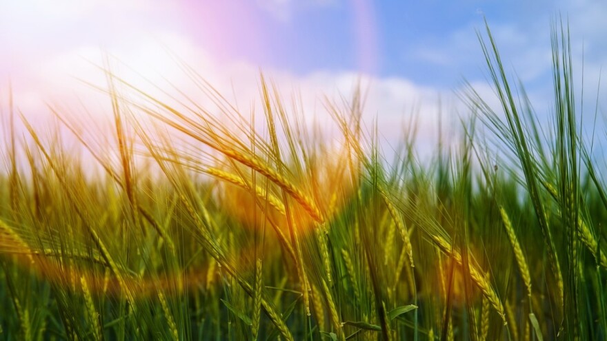 Misterij među znanstvenicima: Tko ispušta zabranjeni spoj koji uništava ozonski omotač?