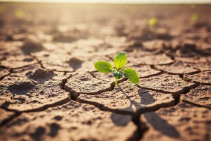Ožujak 2016. najtopliji u posljednjih 100 godina