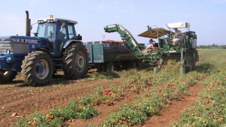 Podravki nedostaje domaćeg peršina i luka