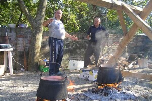 Manji paušal za OPG - poticaj povezivanju poljoprivrede i turizma