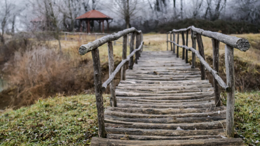 Ekološka poljoprivreda je simbol odrastanja čovječanstva
