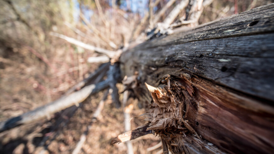 Zašto kažemo ne zadrugama?