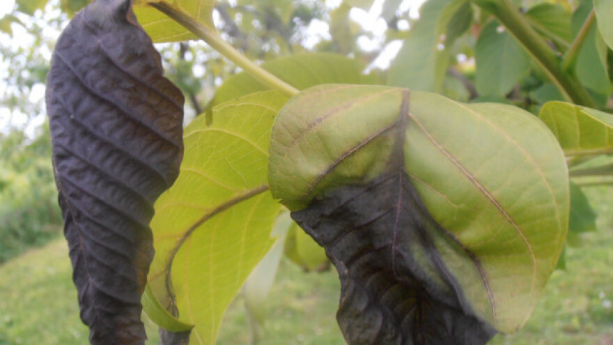 Isplaćeno samo 3% sredstava od ukupne štete!