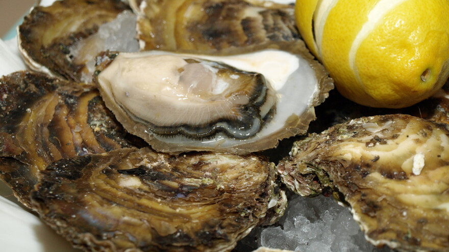 Malostonska kamenica postala 28. hrvatski proizvod zaštićenog naziva u EU