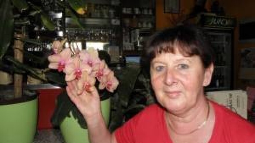 Modni hit i u Daruvaru