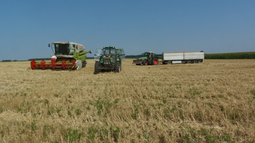 Pir na cijeni u većim gradovima