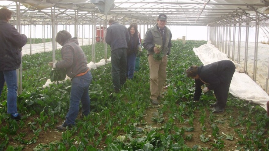 Poljoprivredna zadruga Obnova Trogir