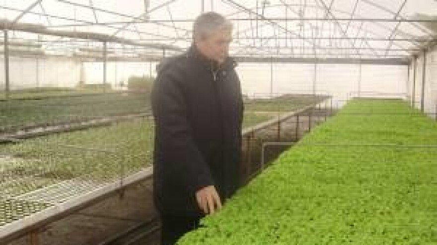 Poljoprivredna zadruga Obnova