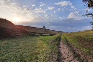 Njive uz rezervat prirode. Dodatna pomoć u kontroli populacije glodara?