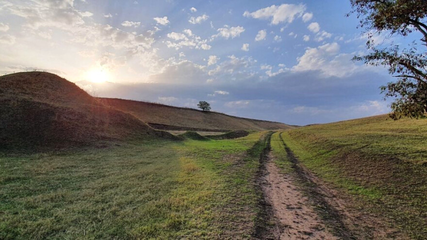 Njive uz rezervat prirode. Dodatna pomoć u kontroli populacije glodara?