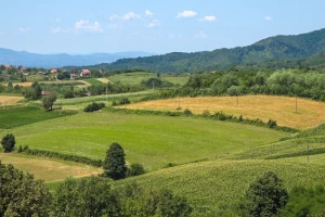 Visoke temperature do četvrtka: Toplo vreme povoljno uticalo na aktivnost insekata