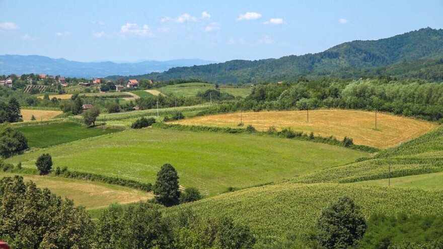 Visoke temperature do četvrtka: Toplo vreme povoljno uticalo na aktivnost insekata