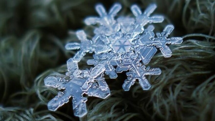 Jeste li ikada izbliza videli pahulje snega?