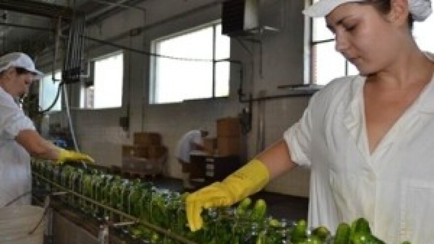 Zbog nestašice uvoze se krastavci iz BiH