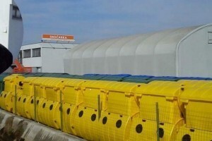 BPZ Imoćanka - poticanje proizvodnje raštike