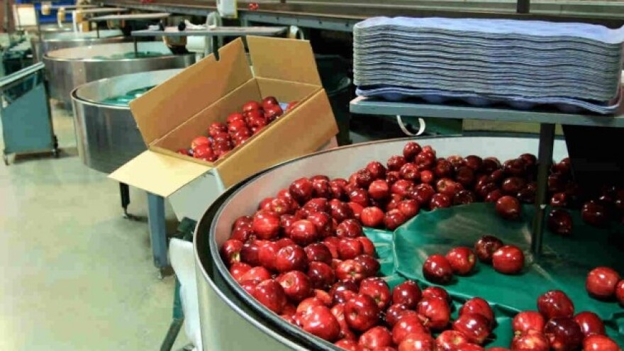 43 miliona za opremanje malih preradnih kapaciteta