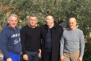 Mlada maslinova ulja u Pakoštanama, općini s više od 100.000 stabala maslina