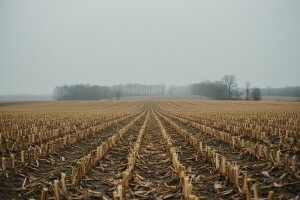Pala vrijednost otkupa i prodaje poljoprivrede