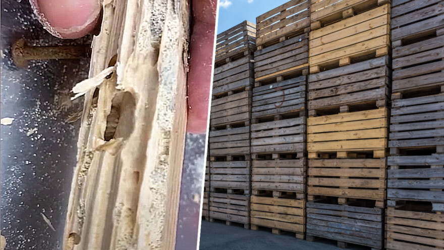 Uhapšene 104 osobe zbog šverca drvenom ambalažom i paletama