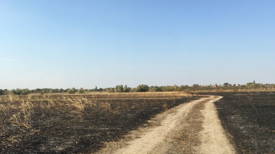 Inspekcija i policija identifikuju lica koja su palila njive