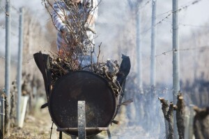 Bomba eksplodirala u vinogradu