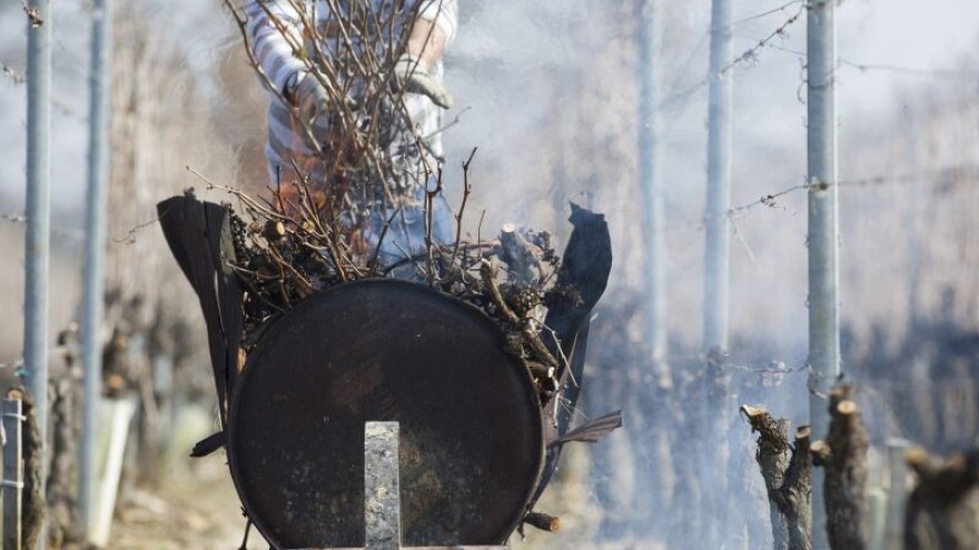 Bomba eksplodirala u vinogradu