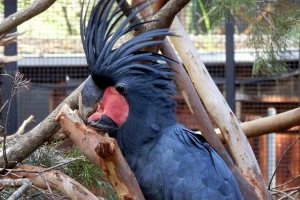 ZOO vrt u Kolutu - raj za životinje i ljubitelje prirode