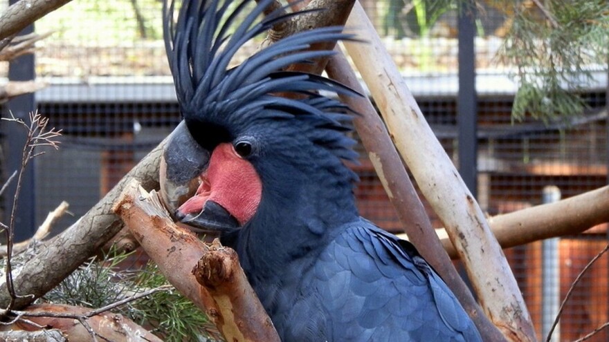 ZOO vrt u Kolutu - raj za životinje i ljubitelje prirode