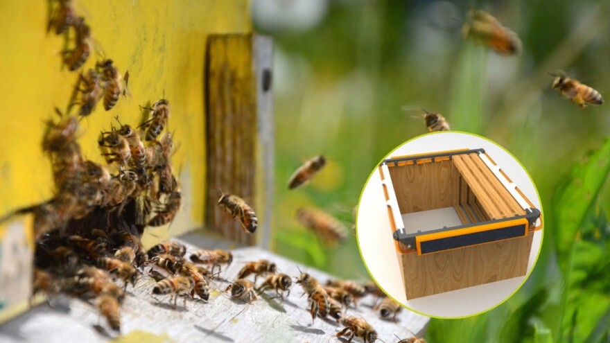 Prva bh. "pametna košnica" koja prati težinu meda i jača pčelinji fond