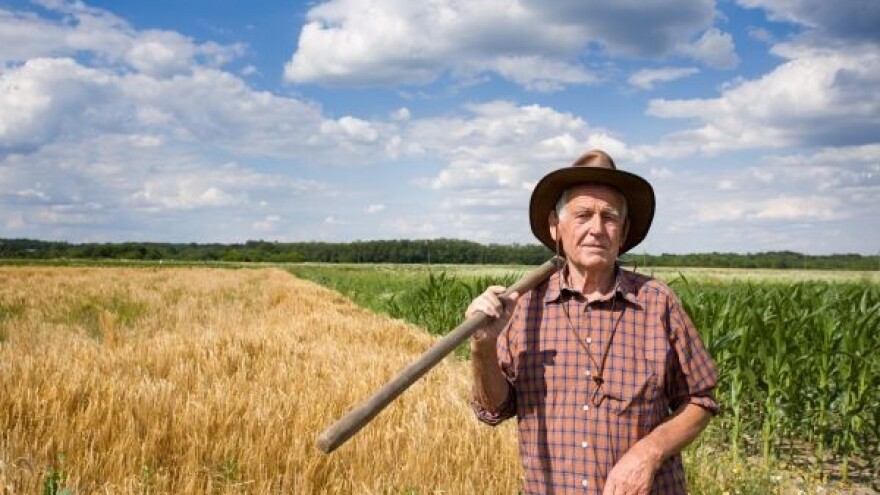 Očekuje nas sirotinjska setva!