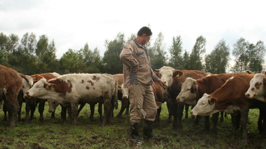 Turizam i poljoprivreda mogu držati 1/3 BDP-a