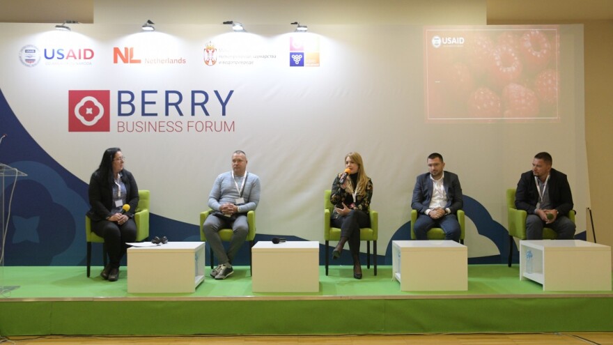 Ekspanzija bobičastog voća na domaćem tržištu - naročito borovnica