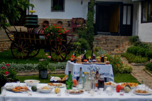 Putevi hrane tema ovogodišnjeg Panona festa