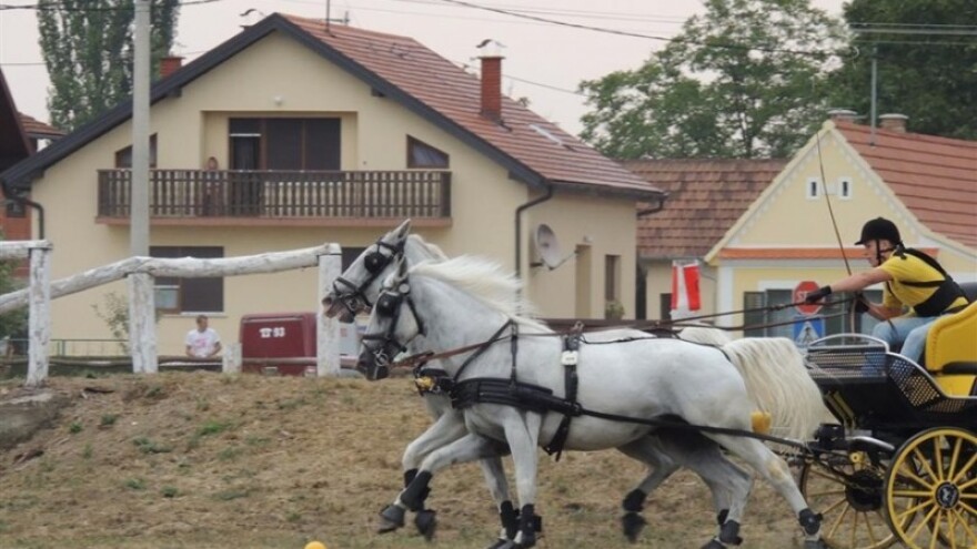 Izazov za konjogojce koji žele okušati sreću!