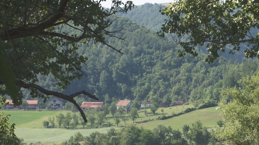 U Srbiji pod šumom 30 odsto, a u Vojvodini svega šest procenata