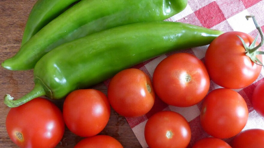 Zelena stenica napada papriku i paradajz