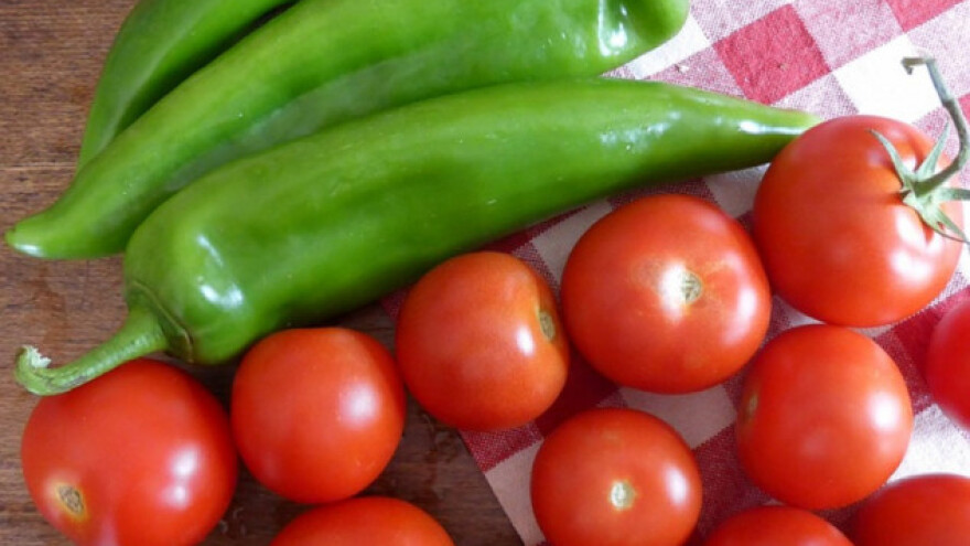 Zelena stjenica napada papriku i paradajz