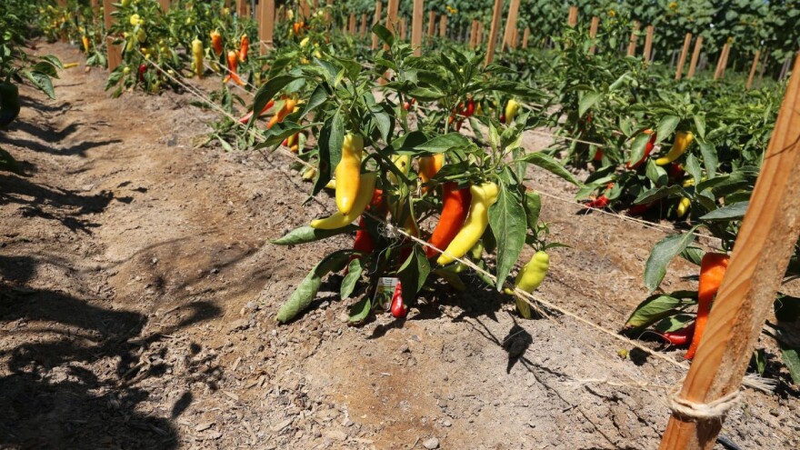 Aldin Kuduzović: Borite se za svoja prava i pristup fondovima Evropske unije