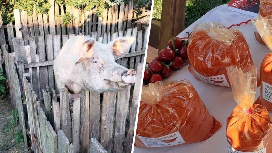 I povrćari na mukama: Začinska paprika nikome ne treba, tko će nama nadoknaditi štetu?