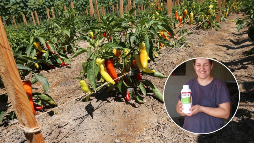 OPG Đurđek: S H2Flo ušteda je i do 25% vode za navodnjavanje, a prinos nekih kultura i duplo veći!