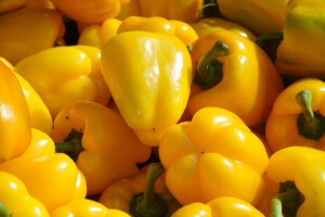 "Moštranska paprika" brend ili mit?